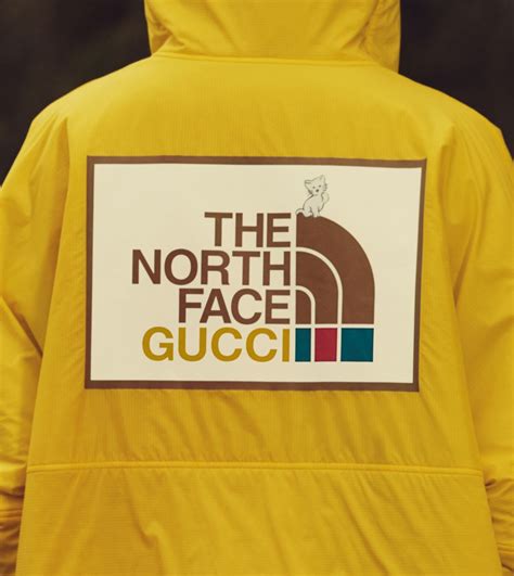 gucci north face book